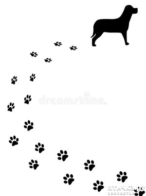 ����: ������)))