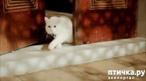 ����: ��������� ������� ��� ������ �������