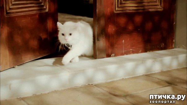 ���� 1: ��������� ������� ��� ������ �������