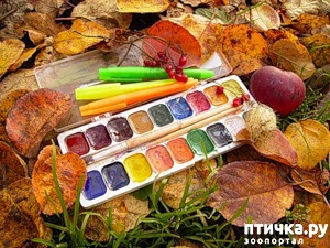 ����: ���������-�����