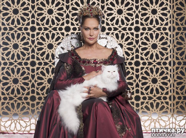 ���� 3: ��������� ������� ��� ������ �������