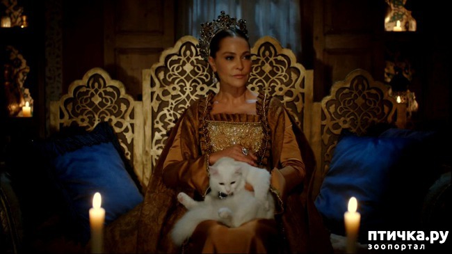 ���� 4: ��������� ������� ��� ������ �������