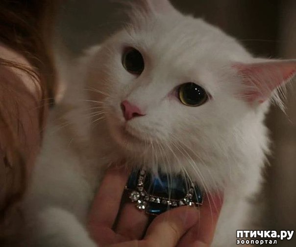 ���� 5: ��������� ������� ��� ������ �������