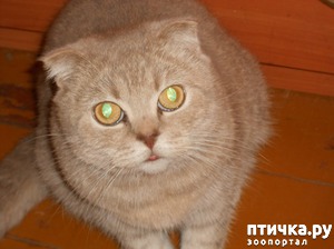 ����: � ���� ��������!