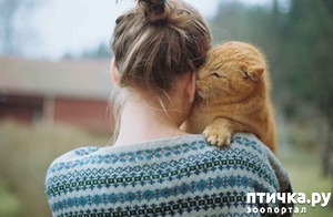 ����: ��� ������, ��� ����� ��� �����