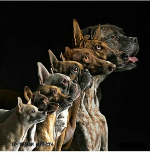 ����: �������� � ����