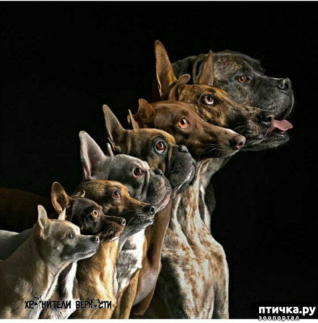 ���� 1: �������� � ����