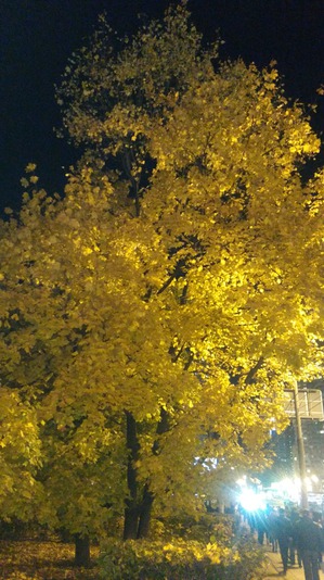 ����: ������ �� ������.