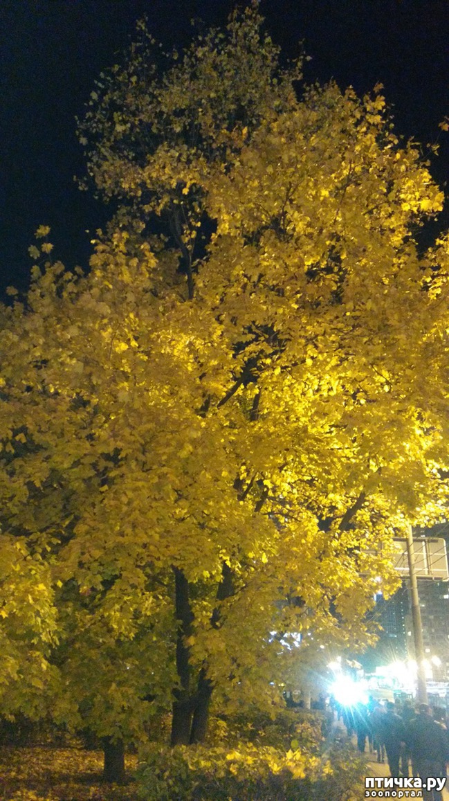 ���� 1: ������ �� ������.