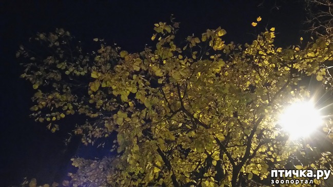 ���� 2: ������ �� ������.