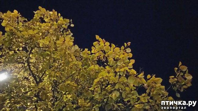 ���� 3: ������ �� ������.