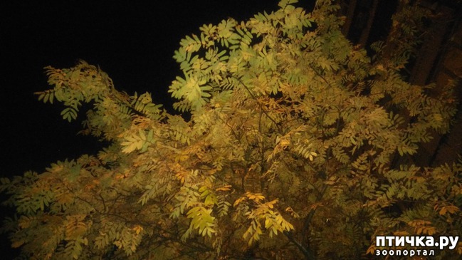 ���� 5: ������ �� ������.