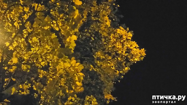 ���� 6: ������ �� ������.