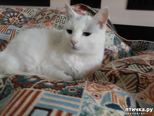 ���� 1: ��� �����������))