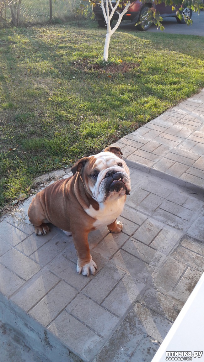 ���� 1: � ����� ���������� �������.