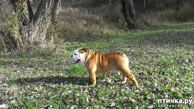 ���� 2: � ����� ���������� �������.