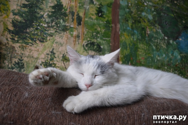 ���� 2: ��� �����������))