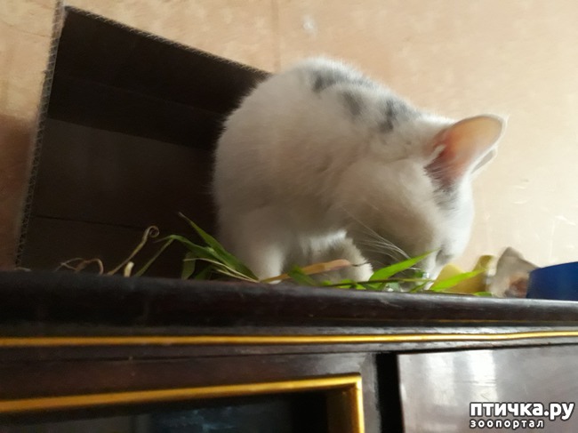 ���� 5: ��� �����������))