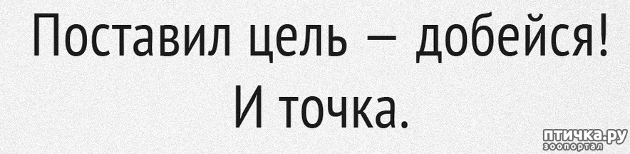 поставь цель и добейся. есть цель добейся. мотиваторы на достижение цели. мотивационные цитаты. мотивационные фразы.