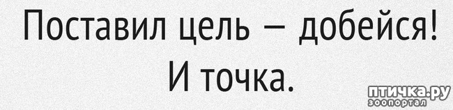 ���� 4: ��� �� ����� �������