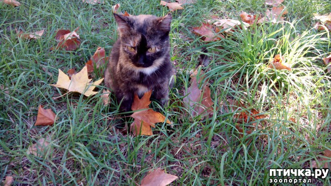 ���� 1: ����� ��������