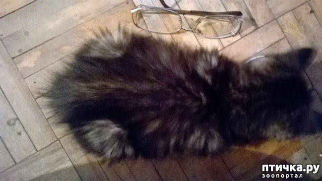 ���� 2: ����� � ����. ����� 4.