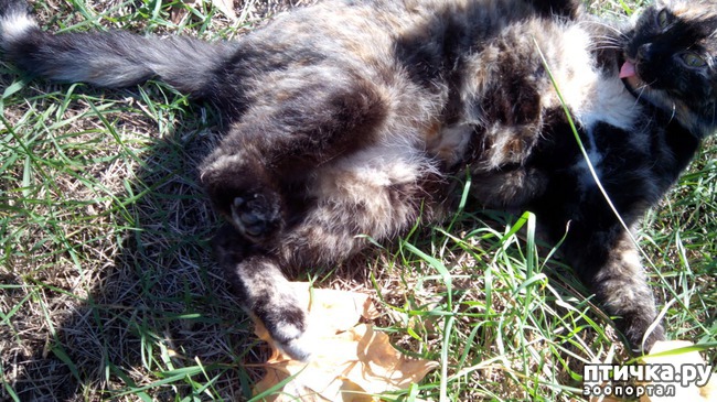 ���� 2: ����� ��������