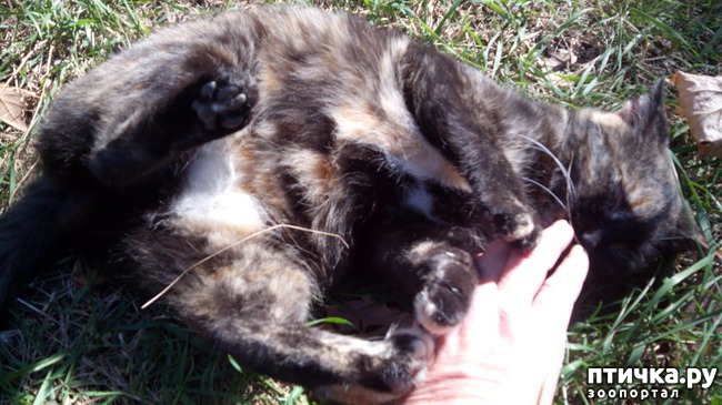 ���� 3: ����� ��������