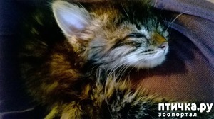 ����: ����� � ����. ����� 4.