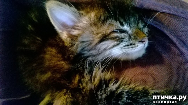 ���� 1: ����� � ����. ����� 4.