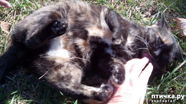 ���� 4: ����� ��������