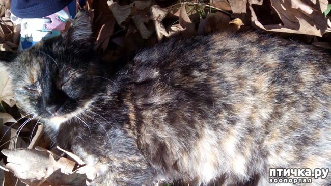 ���� 5: ����� ��������