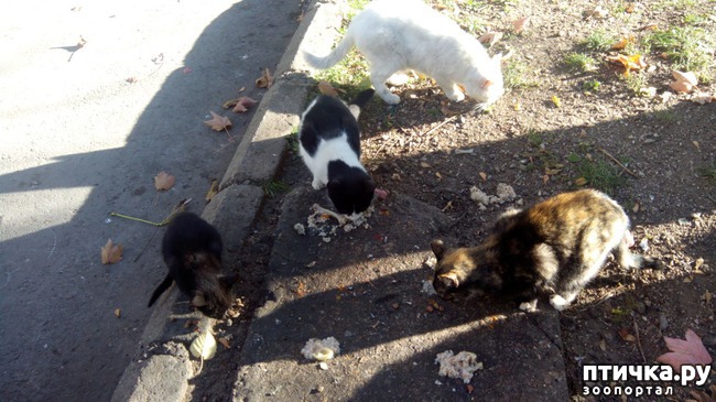 ���� 6: ����� ��������