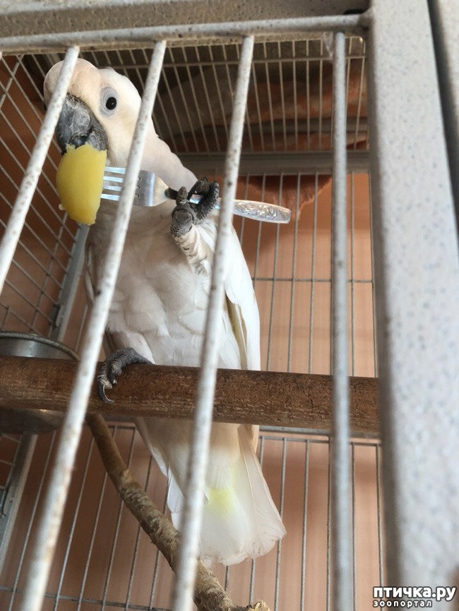 ���� 3: ��� �� ����� �������