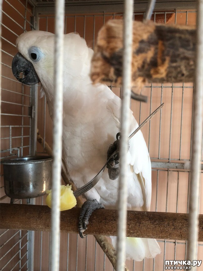 ���� 2: ��� �� ����� �������