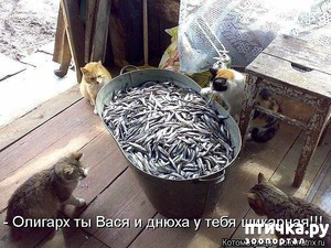 ����: ������-�������