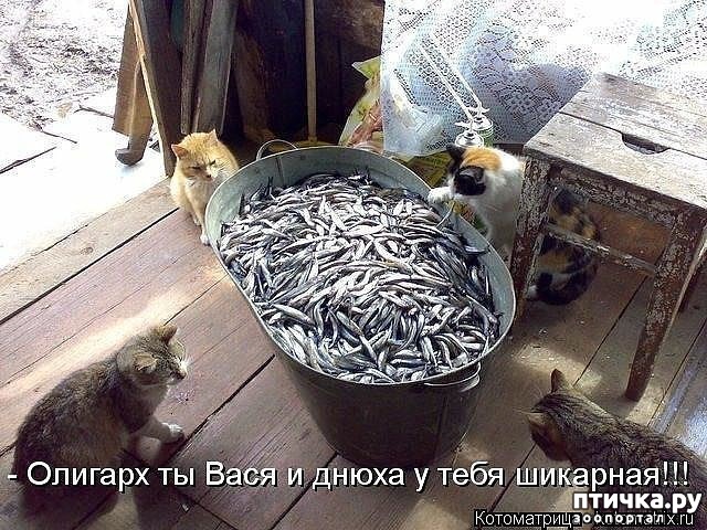 ���� 1: ������-�������