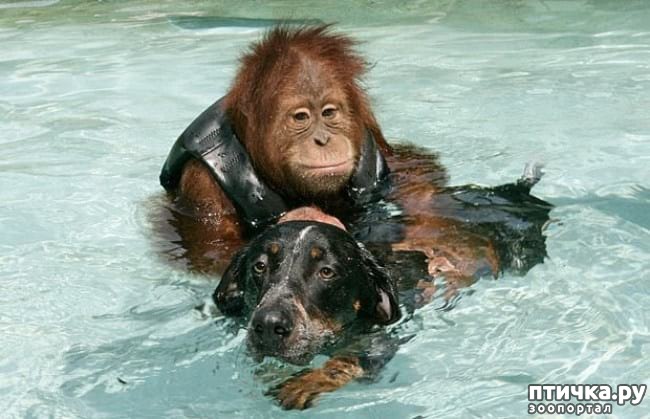 ���� 1: 20 �������� ����, ��� ����� ������������ �������� �� �����