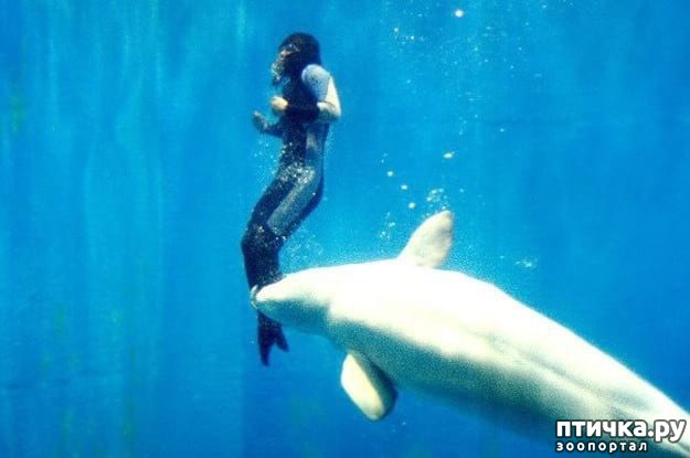 ���� 2: 20 �������� ����, ��� ����� ������������ �������� �� �����