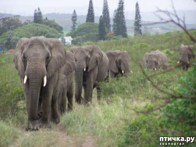 ���� 6: 20 �������� ����, ��� ����� ������������ �������� �� �����