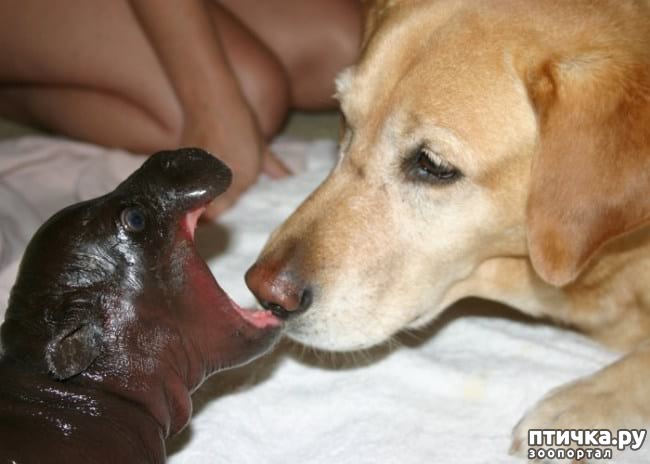 ���� 7: 20 �������� ����, ��� ����� ������������ �������� �� �����