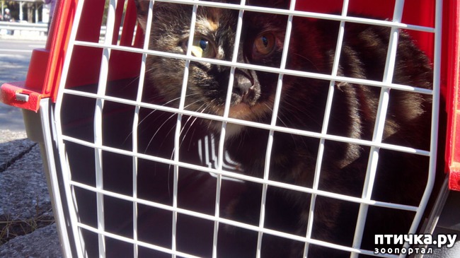 ���� 1: ��� �� �� ������ ������� � ����������