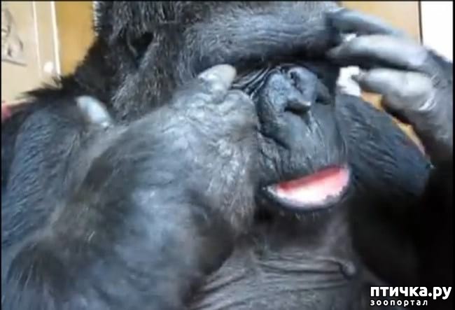 ���� 8: 20 �������� ����, ��� ����� ������������ �������� �� �����