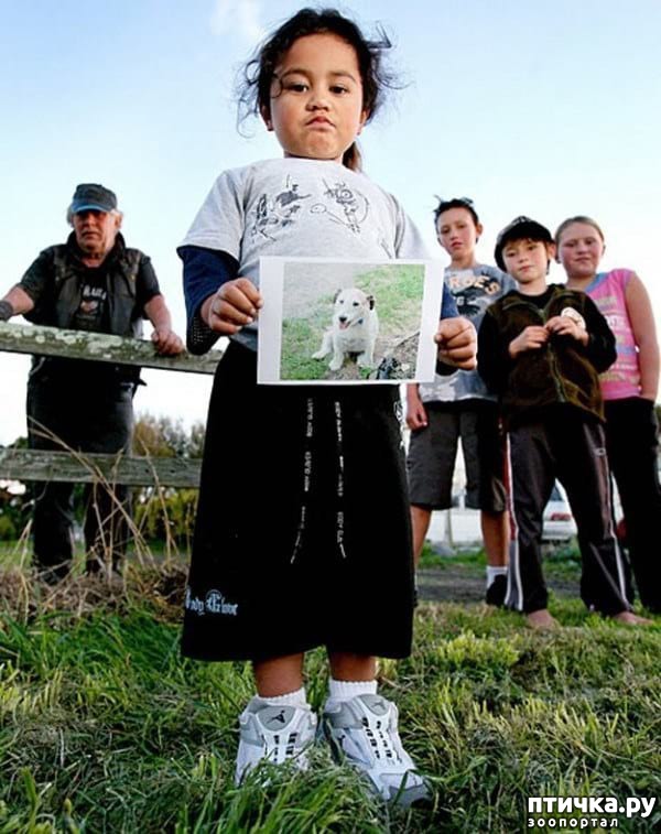 ���� 9: 20 �������� ����, ��� ����� ������������ �������� �� �����