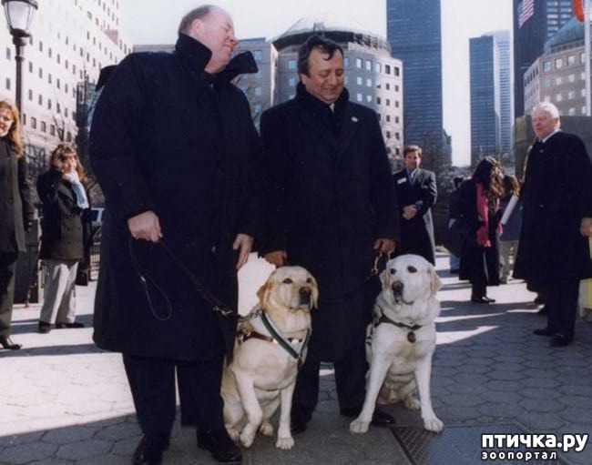 ���� 10: 20 �������� ����, ��� ����� ������������ �������� �� �����