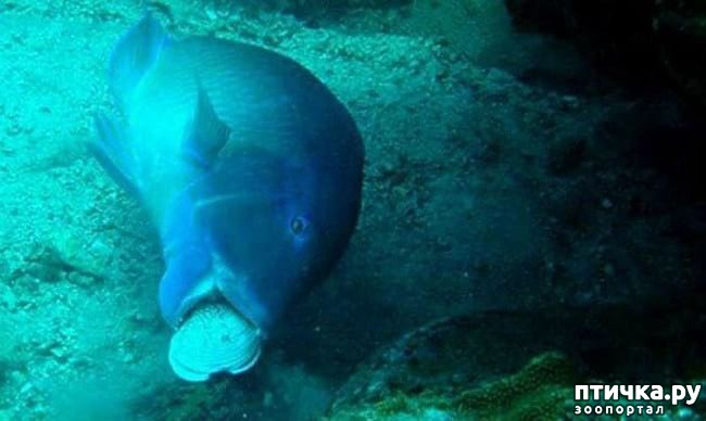 ���� 12: 20 �������� ����, ��� ����� ������������ �������� �� �����