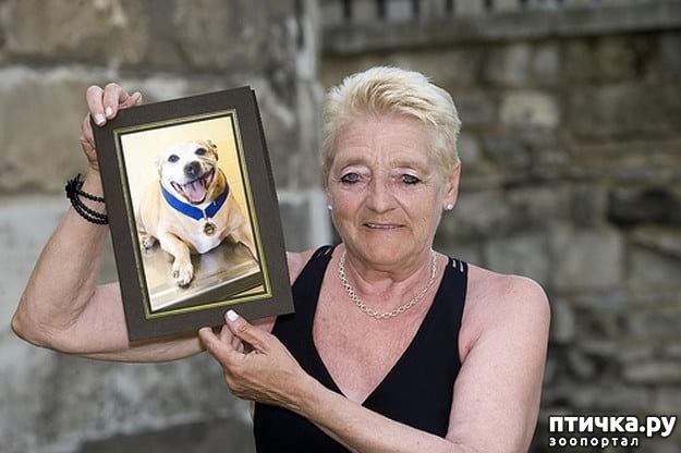 ���� 13: 20 �������� ����, ��� ����� ������������ �������� �� �����