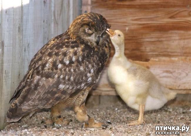 ���� 14: 20 �������� ����, ��� ����� ������������ �������� �� �����