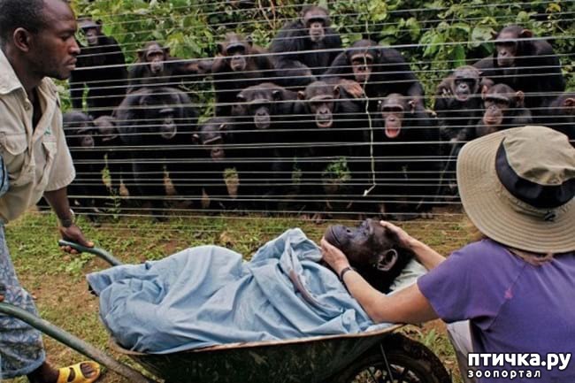 ���� 15: 20 �������� ����, ��� ����� ������������ �������� �� �����