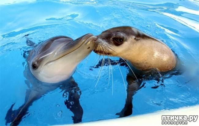 ���� 16: 20 �������� ����, ��� ����� ������������ �������� �� �����